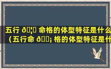 五行 🦆 命格的体型特征是什么（五行命 🐡 格的体型特征是什么样的）